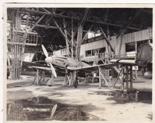Wwii Aaf Photo Rare Captured Japanese Fighter Aircraft In Hangar Pto 94