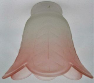 Vintage Translucent Satin Glass Pendant Lamp Shade Embossed Feather Motif 2 1/4 "