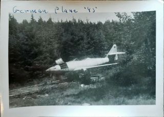 Ww2 German Photo.  Shot Down German Plane In A Forest.