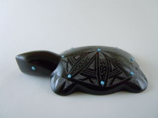 Flea Bitten Ornate Zuni Spotted Black Turtle Fetish Carving Jonathan Natewa 75