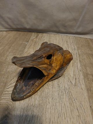 Vintage Rare Oddity Fish Head Mount.  Skull Taxidermy