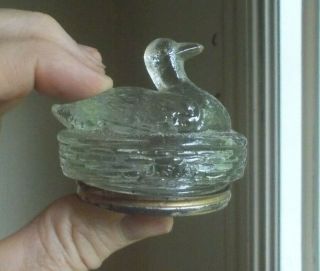 1920s Duck On Nest U.  S.  A.  Glass Figural Candy Container With Tin Lid