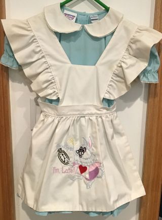 Vintage Alice In Wonderland Girls Sz.  6 Dress Purchased At Dworld 1988