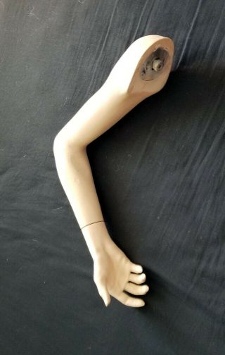 Adel Rootstein Female Mannequin Right Hand & Arm 1980s.  Great Shape.