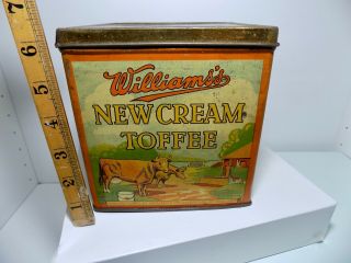 Williams Cream Toffee Cow Image Shop Advertising Toffee Tin C1930s