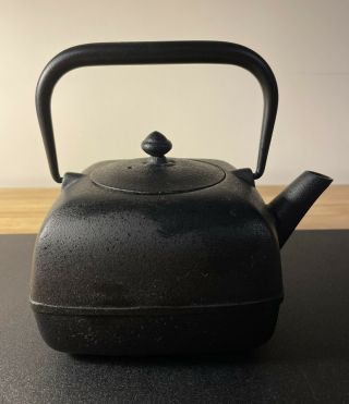 Wazuqu Japnese Cast Iron Tea Kettle