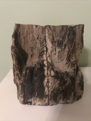 Vintage Petrified Wood Bookends 9 Pounds 8 Oz Natural Rustic Texture