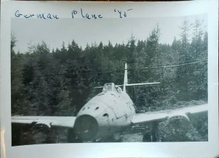 Ww2 German Photo.  Shot Down German Fighter Plane In A Forest.