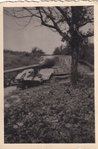 Wwii Snapshot Photo Ko German Jagdtiger Tiger Tank Ludwigsburg 21