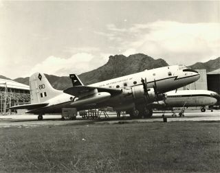 Very Fine 10 X 8 Photograph Of A Handley Page Hastings At Kai Tak