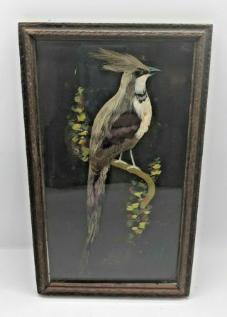 Vintage Bird Painting With Real Feathers Made In Mexico Carved Frame Folk Art 9