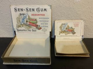 Sen Sen Chewing Gum 1906 Counter Display And Souvenir Box 2