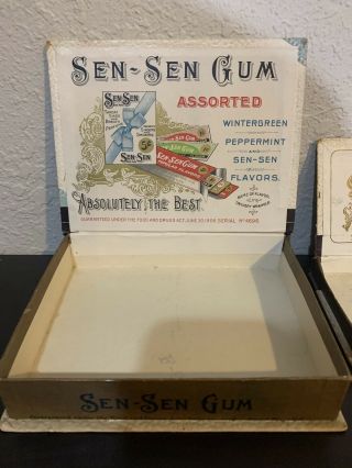 Sen Sen Chewing Gum 1906 Counter Display And Souvenir Box 3