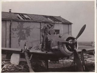 Wwii Aaf Photo Wrecked Shot Up German Fw190 Fighter Koln Germany 25