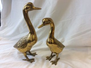 Real Brass Ducks 14 Inch And 12 Inch (very Heavy)