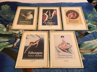 5 Lovely Schweppes Advertising Colour Prints In Frames
