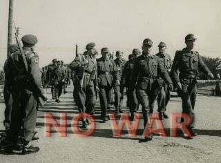 Wwii Photo German Officers & Soldiers Prisoners Captured In Denmark,