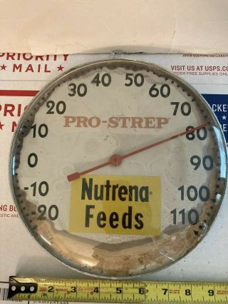 Vintage Nutrena Feeds Pro - Strep Advertising Thermometer Sign Ag Agriculture Rare