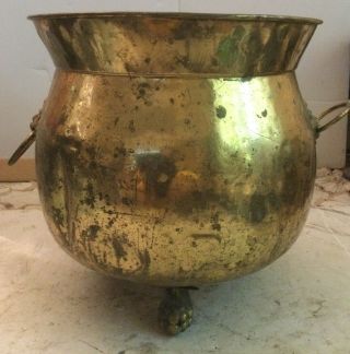 Vintage Golden Footed Planter Pot With Lions Head Handles 10.  5” X 10.  5w