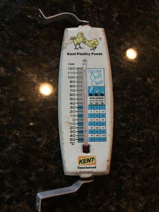 Vintage KENT POULTRY FEEDS Metal Thermometer Wind Chill Chart Farm Baby Chicks 2