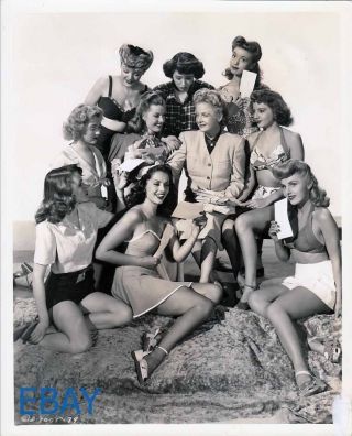 Evelyn Keyes Nina Foch Jinx Falkenburg Sexy Leggy Vintage Photo Nine Girls