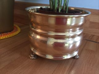 Vintage Triple Lions Claw Foot Solid Brass Planter Indoor Pot Stand Jardiniere