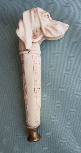 Antique Carved Bone Sporting Dog Head Cane Topper/handle