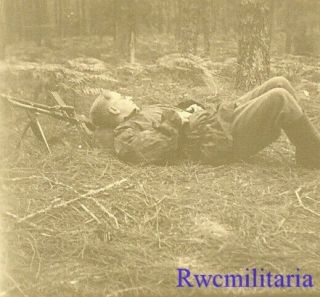 Rare German Elite Waffen Soldier In Camo Smock W/ Zb Vz.  26 Machine Gun