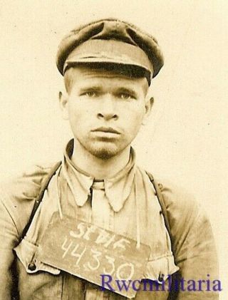 Rare German Booking Pic Of Captured Russian Soldier; Pow Camp Stalag Vi - F