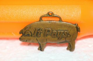 Antique Vintage It Pays To Feed Hogs Right Pig Farm Watch Fob Sign