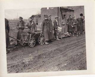 Wwii Photo 9th Army Captured German Pow Prisoners & Wounded Germany 53