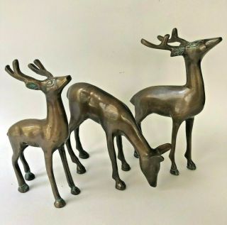 Brass Deer Figurines Set 3 Buck Stag Doe Century Lacquered India Reindeer Vtg