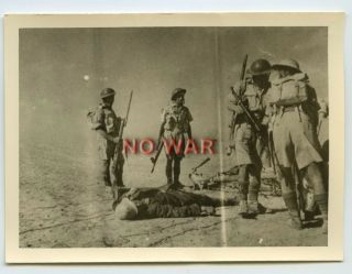 Wwii Photo Kia / Dead German & British Soldiers After Battle In Africa