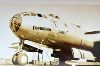 Military Airplane Ww2 Aircraft Photograph B&w Film Developed Photo Pic