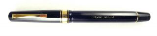 Omas Milford Fountain Pen,  Flexible 14 Kt Gold Omas Nib In Medium Point Size