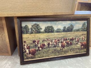 6 " X 11 " Vintage Art Print The Beef Breed Supreme American Hereford Assn Cattle
