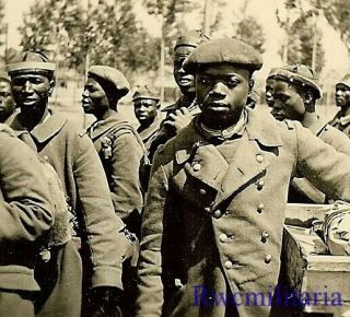 Not Our Fight German View Of Captured Black French African Colonial Pow 