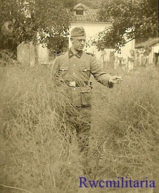 Rare German Elite Waffen Totenkopf Division Sturmmann In Field By House
