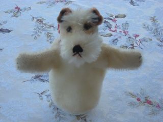 Vintage Steiff " Foxy " The Fox Terrier Hand Puppet Germany Mohair Awesome Rare