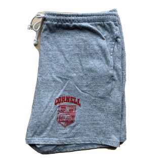 Cornell University Shorts Large 80s Champion Vintage Grey Cotton Blend Made Usa