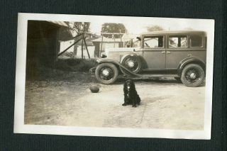 1931 Chevrolet Chevy Car & Pet Cocker Spaniel Dog Vintage Photo 453024