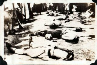 125 Wwii Japanese Gruesome Execution Photo & 450,  000,  Scans