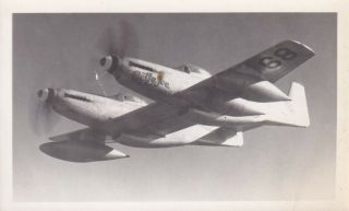 Aeroplane Photo Supply Wwii American Aaf P - 82 Twin Mustang Fighter 321