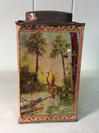 Rare Vintage Early Windsor Cocoanut Tin W/palm Trees,  York