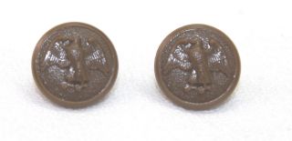 Wwii Us Wac Walking Eagle Brown Hat Button 5/8in 16mm 24l Pair B1933