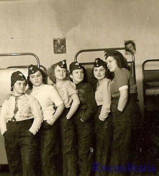 Rare Group Female Luftwaffe Blitzmädel Helferin Girls In Barracks; 1943