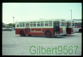 South Carolina Electric & Gas Bus Slide 3324 Taken 1978