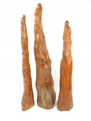 3 Vintage Cypress Knees 19 - 5/8 ",  18 " & 17 - 5/8 " Carving Woodworking Crafts Wood