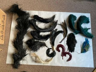 Miscellaneous Antique & Vintage Hat Feathers (and Fur) Millinery Trim