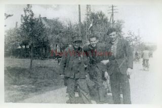 Wwii Photo - 6th Armored Division - Captured German Prisoners Of War Pows - 2